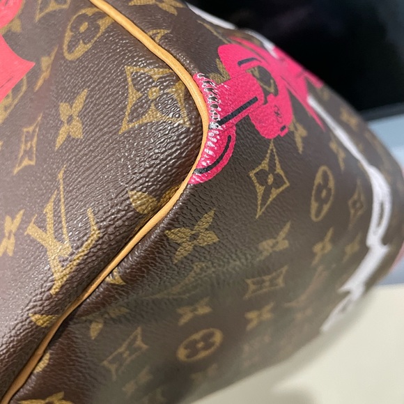 Louis Vuitton Speedy Limited Edition - Picture 12 of 14